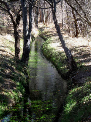 An ancient irrigation ditch still flowing