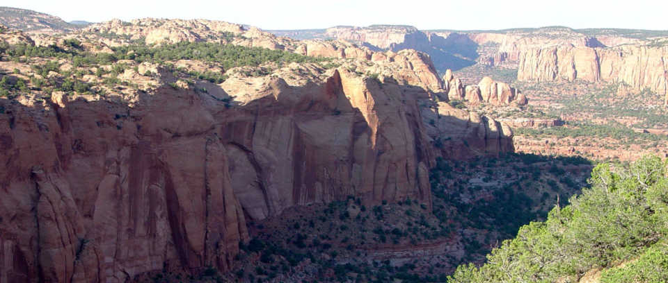 Looking down across Tsegi Canyon