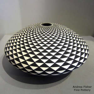 Spiral mesa geometric design on a black and white seed pot