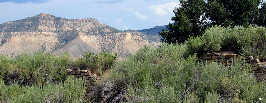 A wall stabilized during an excavation of Yucca House