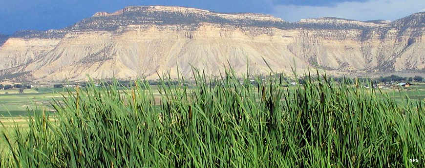 Looking to the east across the valley floor to the western slopes of Mesa Verde