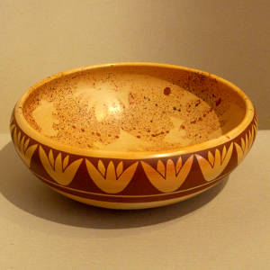 Red tulip design on the outside and bat shadow splatter design on the inside of a yellow ware bowl