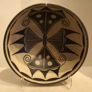 Cotton design inside a bowl