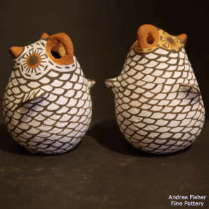 A pair of polychrome owls