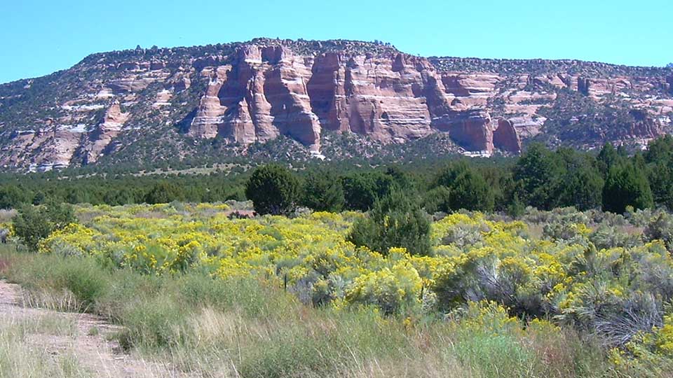 A view of the Zuni landscape